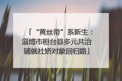 “黄丝带”系新生：淄博市桓台县多元共治铺就社矫对象回归路