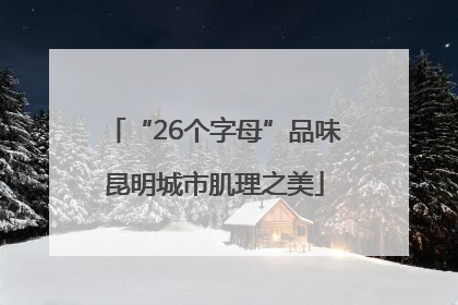 “26个字母”品味昆明城市肌理之美