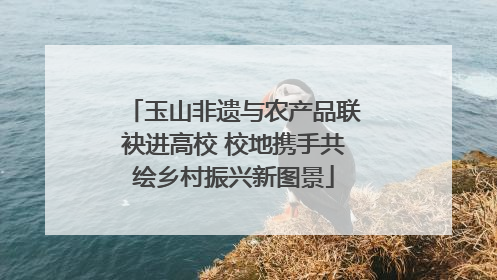 玉山非遗与农产品联袂进高校 校地携手共绘乡村振兴新图景