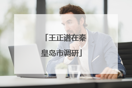 王正谱在秦皇岛市调研