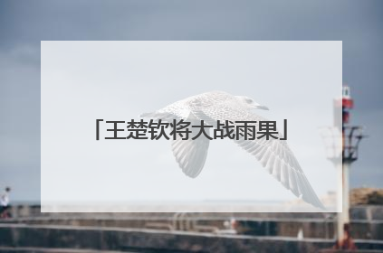 王楚钦将大战雨果