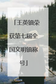 王英镇荣获第七届全国文明镇称号