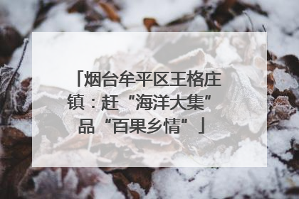 烟台牟平区王格庄镇：赶“海洋大集” 品“百果乡情”