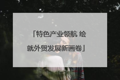 特色产业领航 绘就外贸发展新画卷