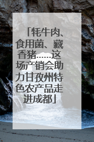 牦牛肉、食用菌、藏香猪……这场产销会助力甘孜州特色农产品走进成都