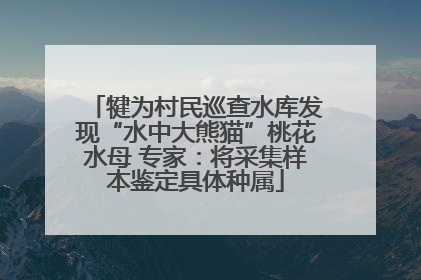 犍为村民巡查水库发现“水中大熊猫”桃花水母 专家：将采集样本鉴定具体种属
