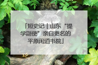 短史记｜山东“提学副使”亲自更名的平原闲道书院