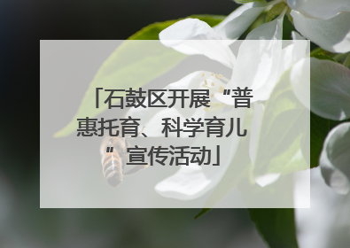 石鼓区开展“普惠托育、科学育儿”宣传活动