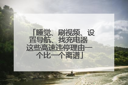 睡觉、刷视频、设置导航、找充电器 这些高速违停理由一个比一个离谱