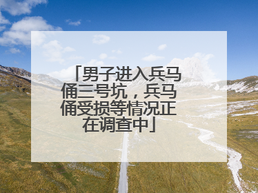 男子进入兵马俑三号坑，兵马俑受损等情况正在调查中