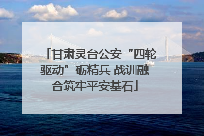 甘肃灵台公安“四轮驱动”砺精兵 战训融合筑牢平安基石
