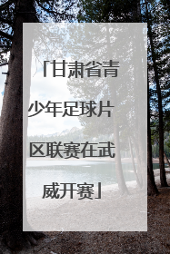 甘肃省青少年足球片区联赛在武威开赛