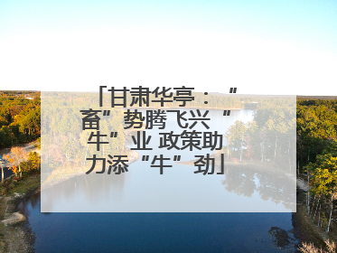 甘肃华亭：“畜”势腾飞兴“牛”业 政策助力添“牛”劲