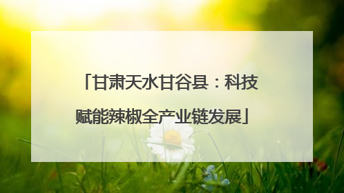 甘肃天水甘谷县：科技赋能辣椒全产业链发展