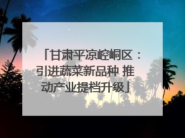 甘肃平凉崆峒区：引进蔬菜新品种 推动产业提档升级