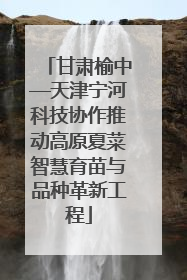 甘肃榆中—天津宁河科技协作推动高原夏菜智慧育苗与品种革新工程
