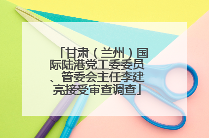 甘肃（兰州）国际陆港党工委委员、管委会主任李建亮接受审查调查