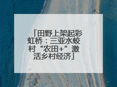 田野上架起彩虹桥：三亚水蛟村“农田+”激活乡村经济