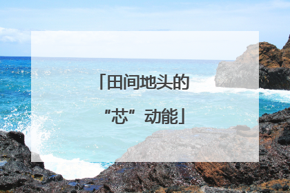 田间地头的“芯”动能