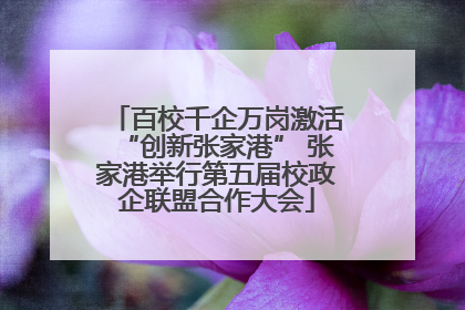 百校千企万岗激活“创新张家港” 张家港举行第五届校政企联盟合作大会