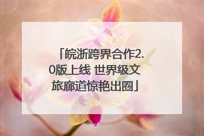 皖浙跨界合作2.0版上线 世界级文旅廊道惊艳出圈