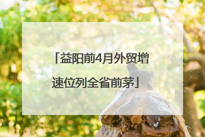 益阳前4月外贸增速位列全省前茅