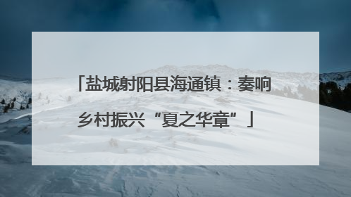 盐城射阳县海通镇：奏响乡村振兴“夏之华章”