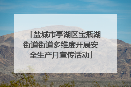 盐城市亭湖区宝瓶湖街道街道多维度开展安全生产月宣传活动