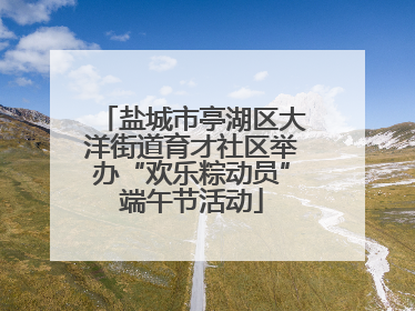 盐城市亭湖区大洋街道育才社区举办“欢乐粽动员”端午节活动