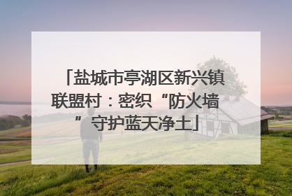 盐城市亭湖区新兴镇联盟村：密织“防火墙”守护蓝天净土