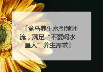 盒马养生水引领潮流，满足“不爱喝水星人”养生需求