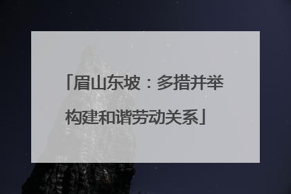 眉山东坡：多措并举构建和谐劳动关系