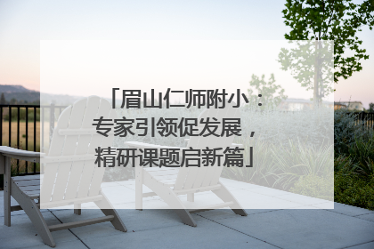 眉山仁师附小：专家引领促发展，精研课题启新篇