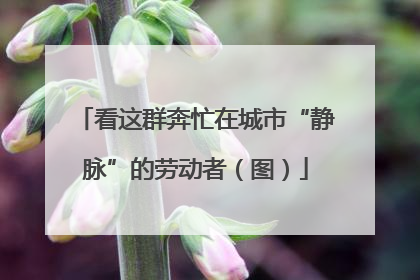 看这群奔忙在城市“静脉”的劳动者（图）