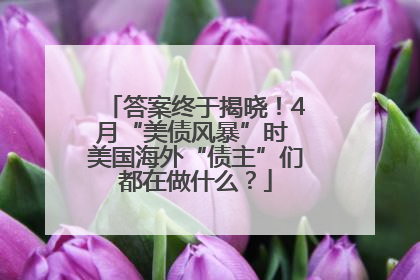 答案终于揭晓！4月“美债风暴”时 美国海外“债主”们都在做什么？