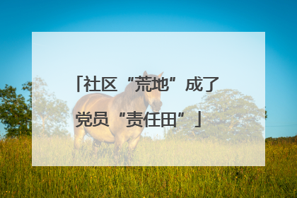 社区“荒地”成了党员“责任田”