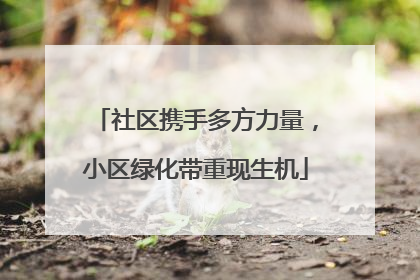 社区携手多方力量，小区绿化带重现生机