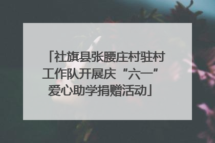 社旗县张腰庄村驻村工作队开展庆“六一”爱心助学捐赠活动
