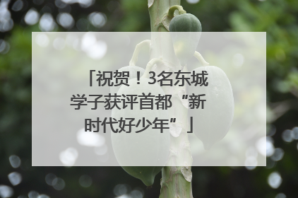 祝贺！3名东城学子获评首都“新时代好少年”