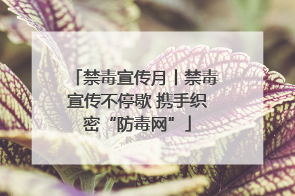 禁毒宣传月丨禁毒宣传不停歇 携手织密“防毒网”