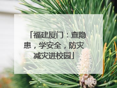 福建厦门：查隐患，学安全，防灾减灾进校园