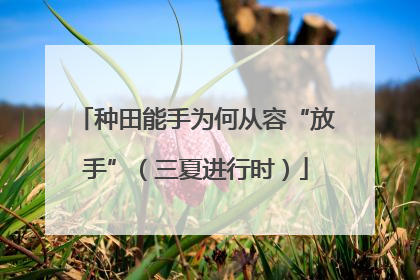 种田能手为何从容“放手”（三夏进行时）