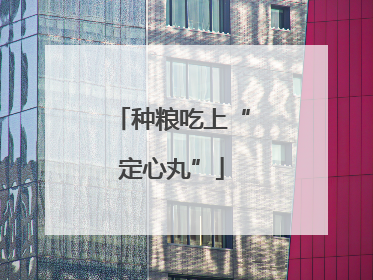 种粮吃上“定心丸”