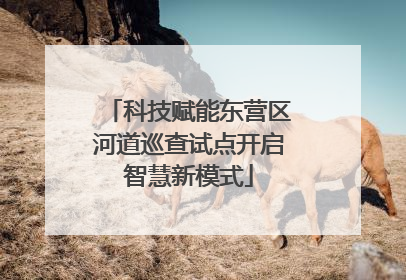 科技赋能东营区河道巡查试点开启智慧新模式