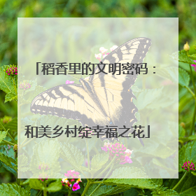 稻香里的文明密码：和美乡村绽幸福之花
