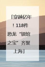 穿越亿年！118件恐龙“镇馆之宝”齐聚上海