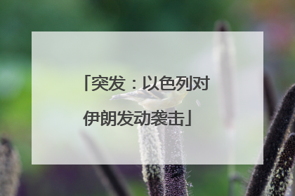 突发：以色列对伊朗发动袭击
