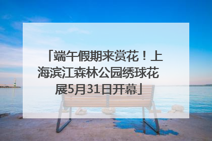 端午假期来赏花！上海滨江森林公园绣球花展5月31日开幕