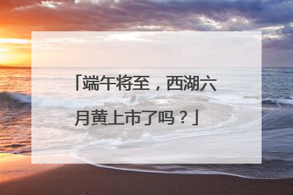 端午将至，西湖六月黄上市了吗？