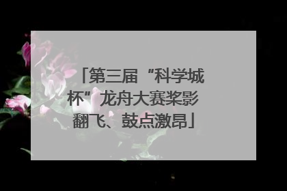 第三届“科学城杯”龙舟大赛桨影翻飞、鼓点激昂